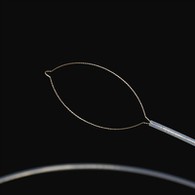 Aina ya wavu wa mwili wa kigeni