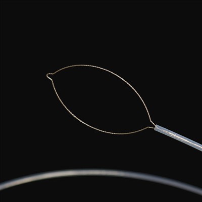 Taya aina ya mwili wa kigeni